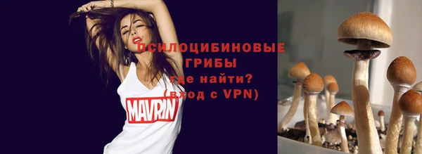 прущий лед Балахна