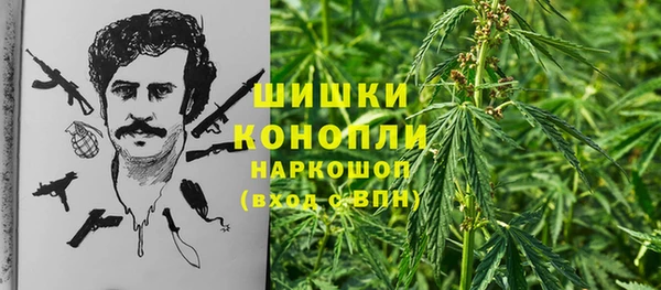 сатива Балабаново