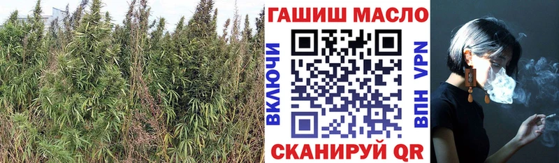 ТГК концентрат магазин продажи Володарск