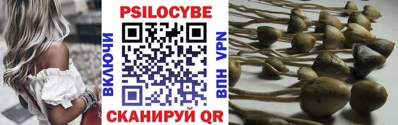 Галлюциногенные грибы мицелий  ссылка на мегу маркетплейс  Володарск  наркотики 